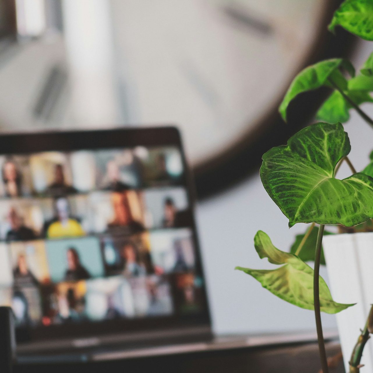 black flat screen tv turned on near green plant